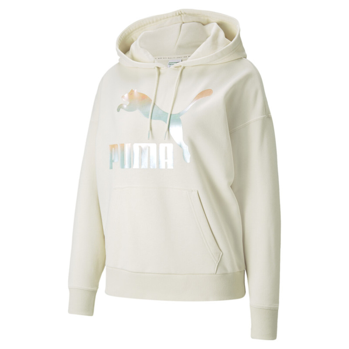 Classics Logo Hoodie 53007588 - Beige 