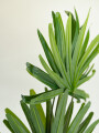Planta Palm100cm Color Unico