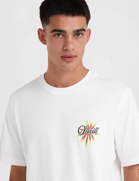 Remera O-Neill Beach Graphic Blanco