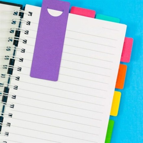 Notas adhesivas neon Multicolor
