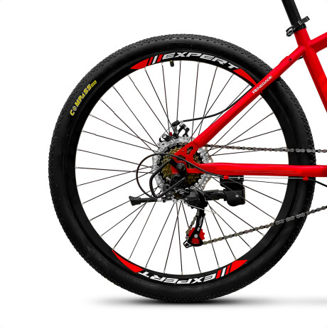 Bicicleta Montaña Expert Renegade Hombre Rod 26 Frenos Disco 21cambio Rojo