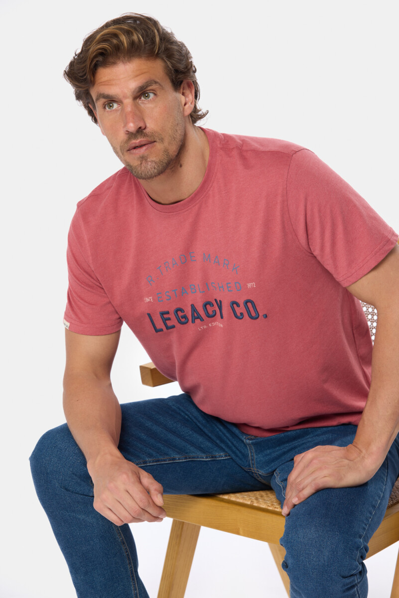 REMERA ESTAMPADA - Bordo 