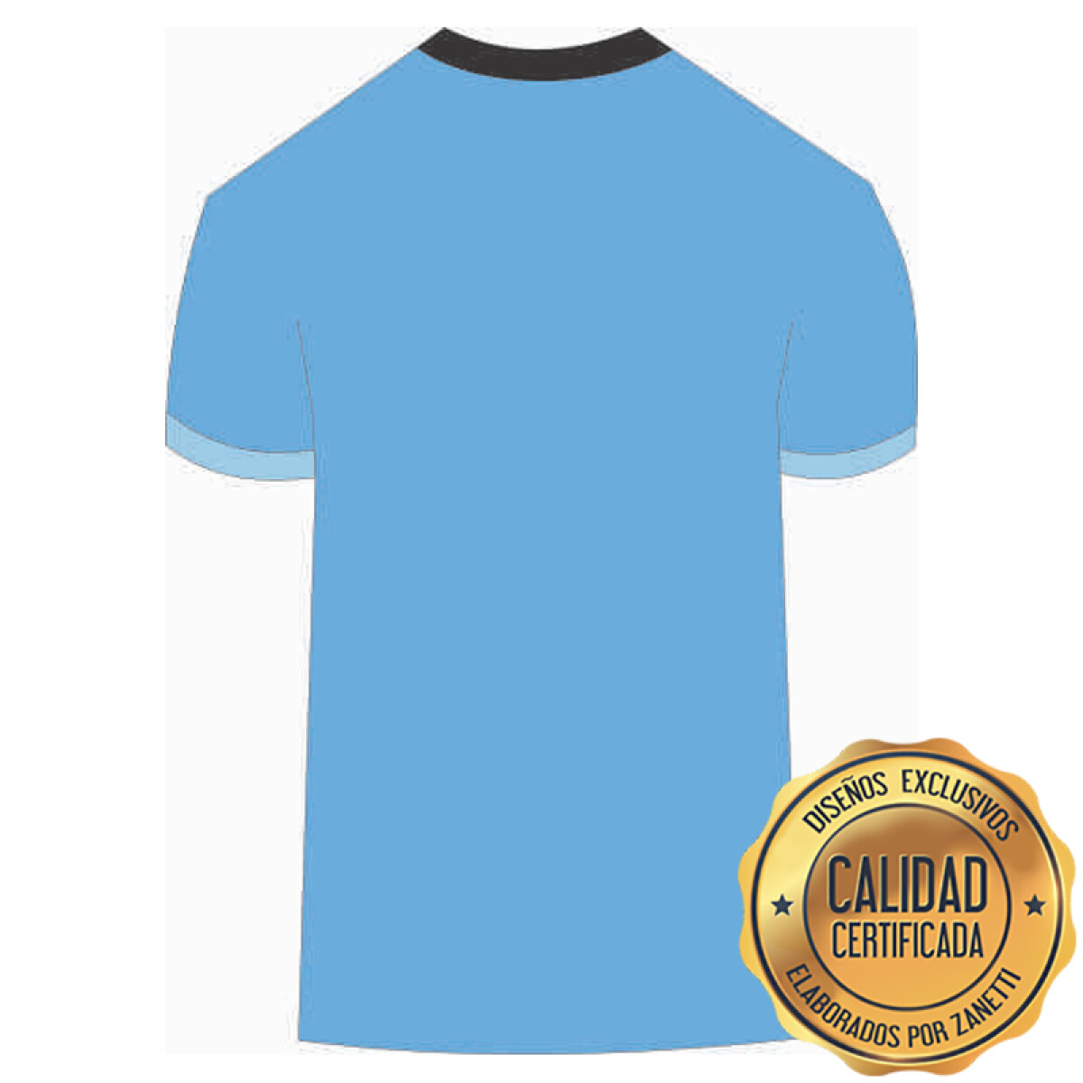 Lámina Uruguay - Camiseta Celeste Dorso 