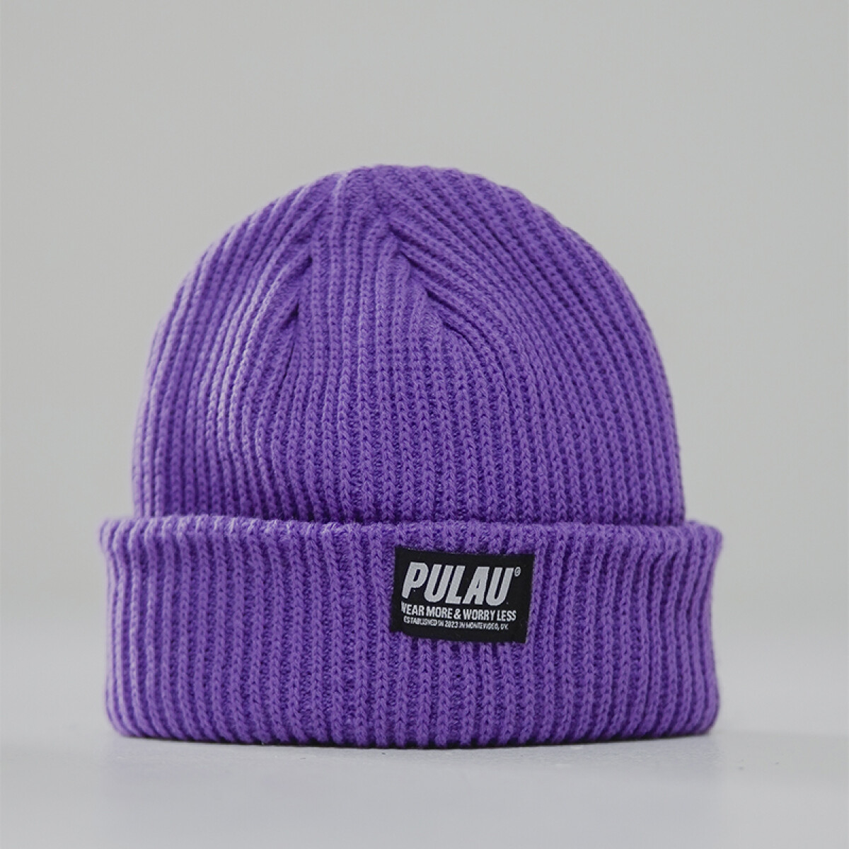 Gorro Pulau Beanie Patagonia - Violeta 