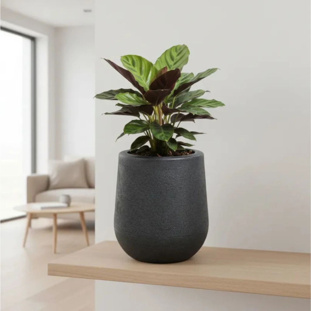 Maceta gota decorativa 8,5 litros gris grafito