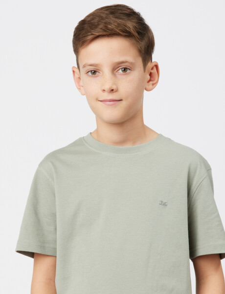 REMERA BÁSICA DE ALGODÓN Pistacho