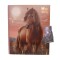 diario miss melody con candado 413889 S/C