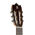 Guitarra electroacústica Alhambra 3CCWE1 con cutaway Guitarra electroacústica Alhambra 3CCWE1 con cutaway