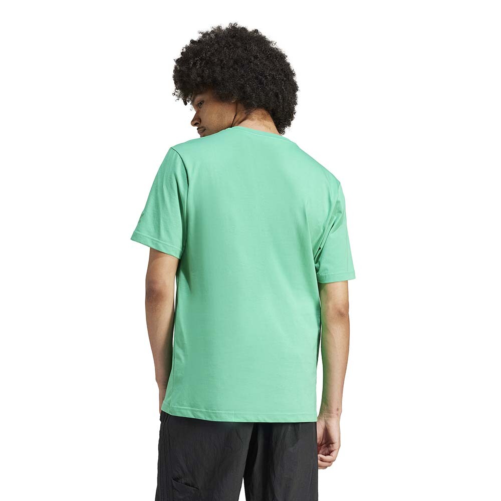 Sin Definir - Hombre Surf Green