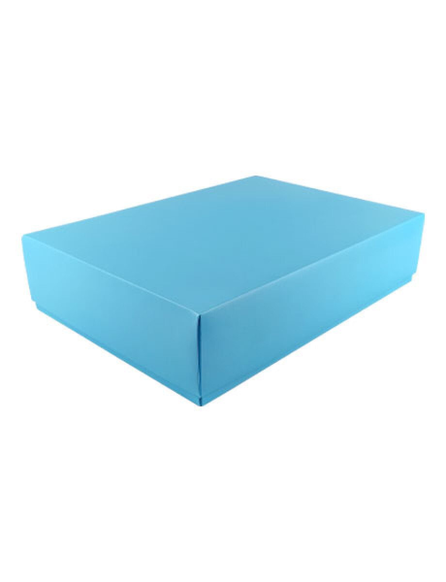 CAJA ECO 09 - 30x40x9 cm - CELESTE 