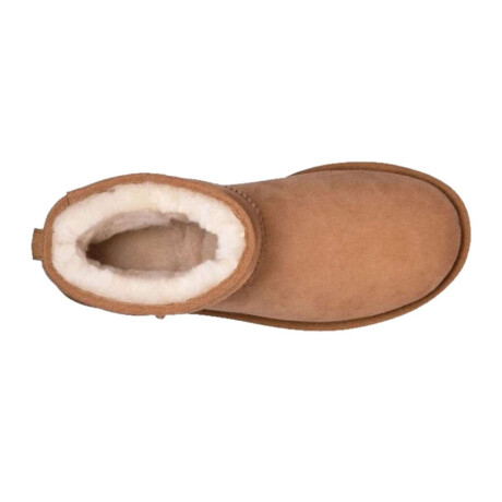 Botas UGG Classic Mini II Chesnut Chesnut