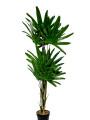 Planta Palmera China 120cm Color Unico