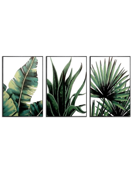 SET 3 CUADROS 40x60cm MARCO PLANTAS VERDES SET 3 CUADROS 40x60cm MARCO PLANTAS VERDES