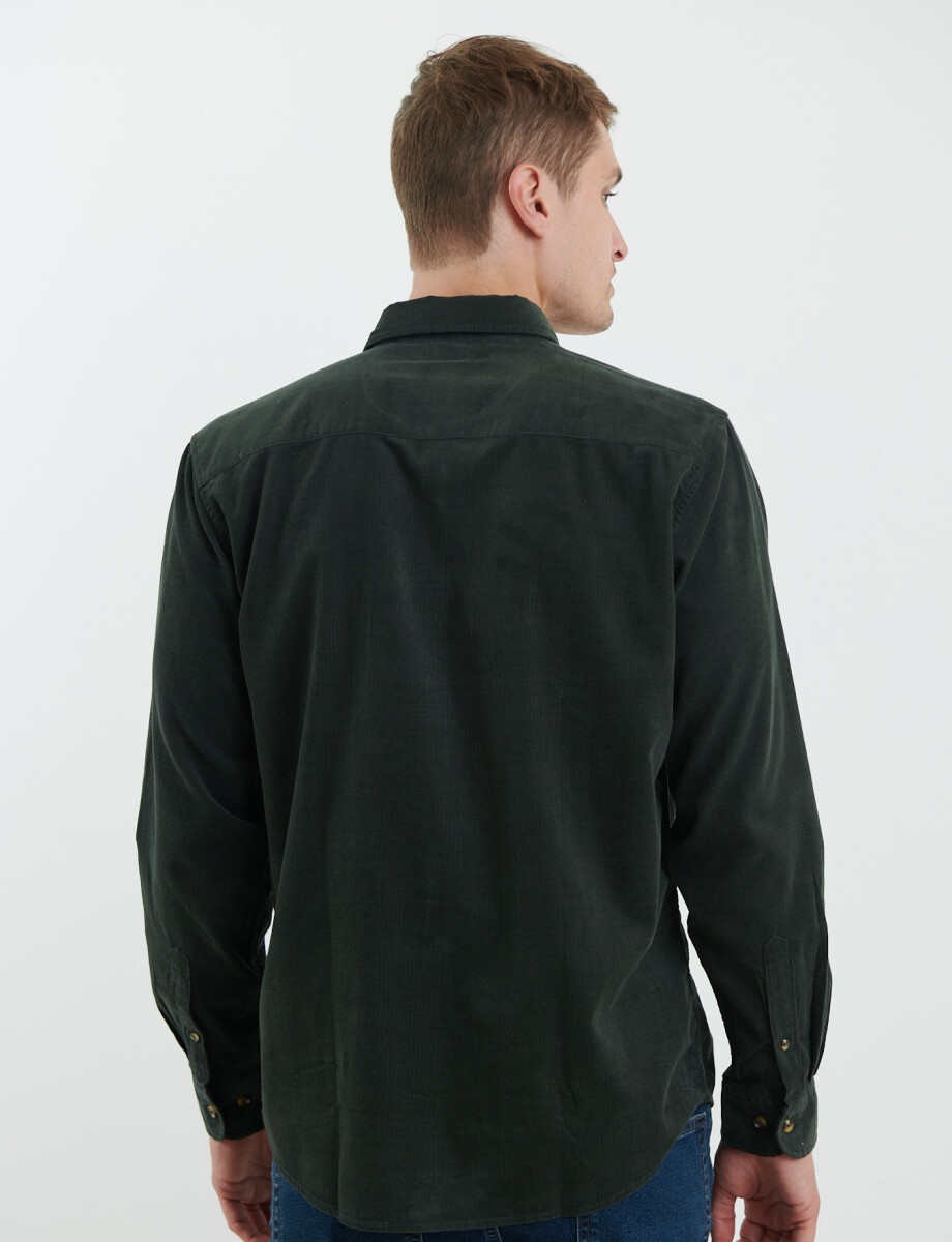 012613 CAMISA HARRY Verde