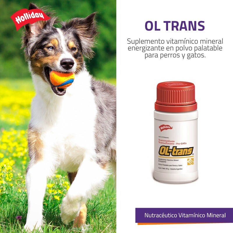 OL TRANS SUPLEMENTO VITAMINICO 80 G. HOLLIDAY OL TRANS SUPLEMENTO VITAMINICO 80 G. HOLLIDAY