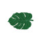 Alfombra lavable -Leaf Verde