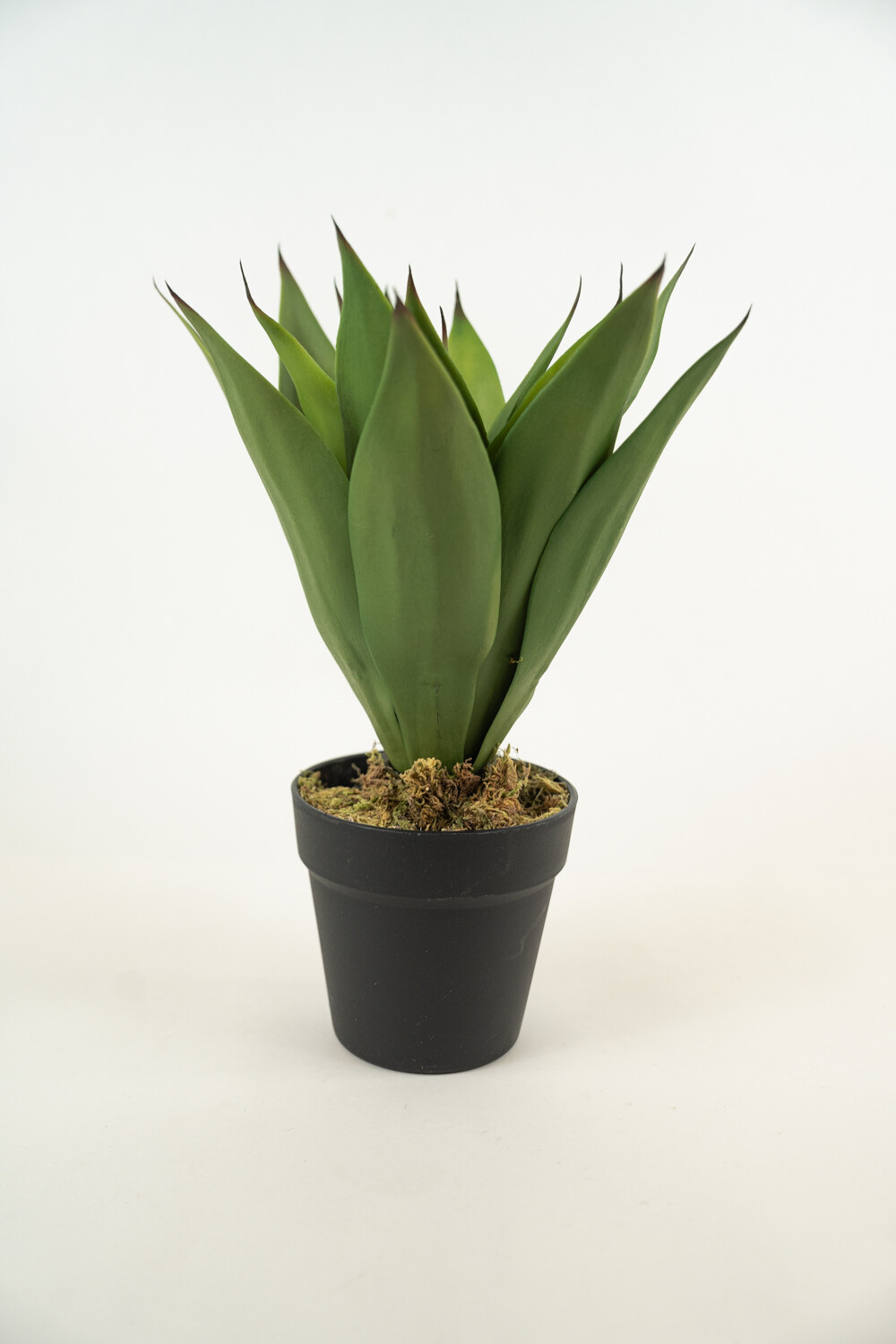 Planta Yucca 35cm Color Unico