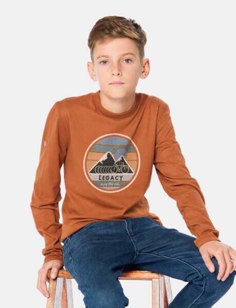 REMERA ESTAMPADA Terracota