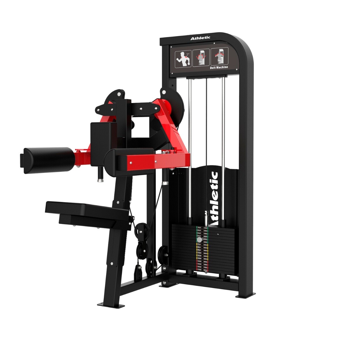 DYNAMIC - DELT MACHINE 