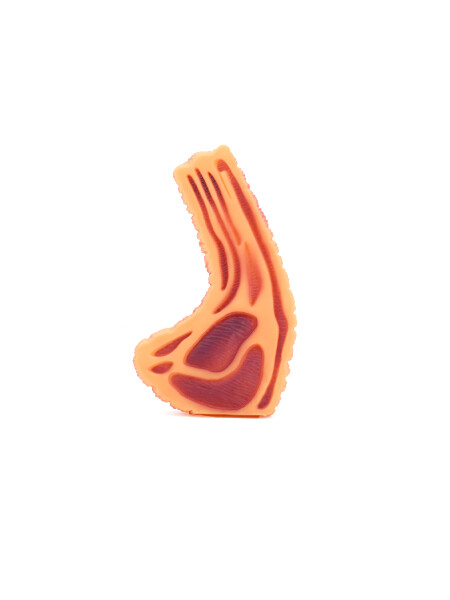 CHUELETA DE GOMA MARRON (V)