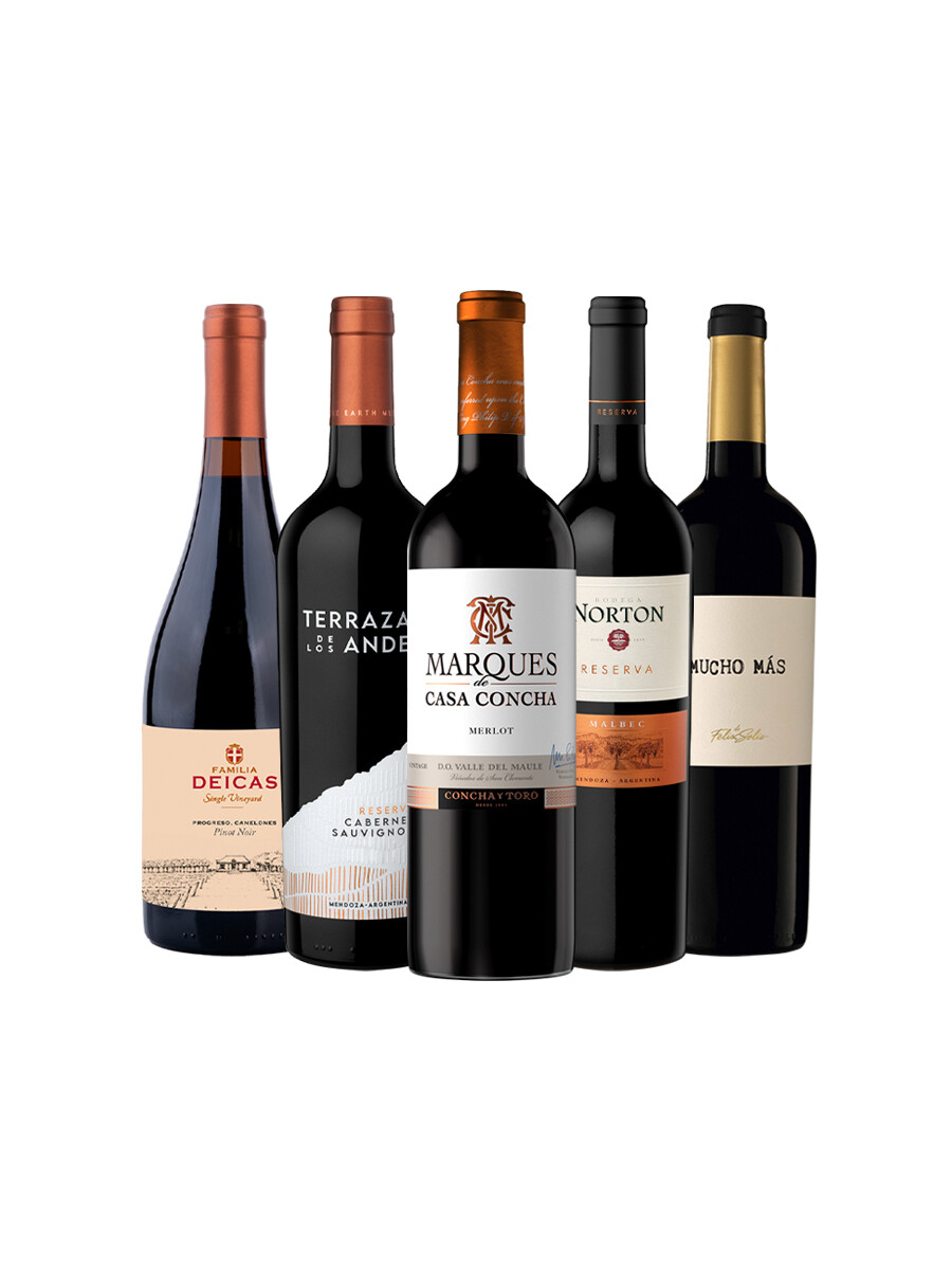 Pack Bacán Selección Special Picks x5 vinos Pack Bacán Selección Special Picks x5 vinos