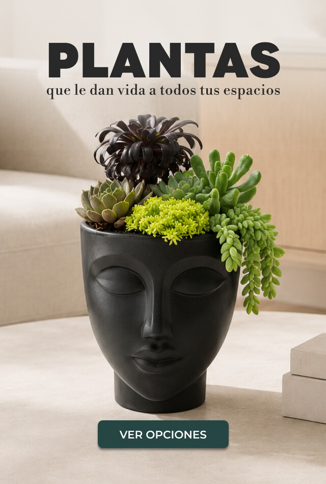 Plantas