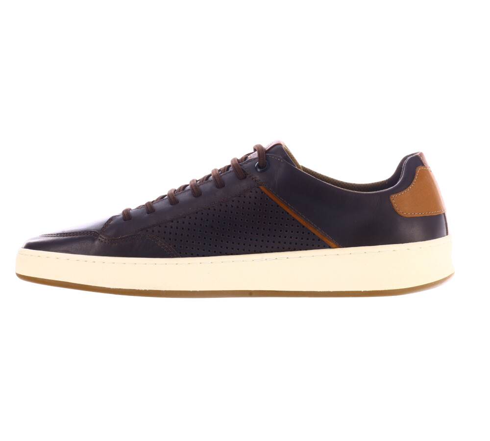 Zapato Casual Evolution Malbec