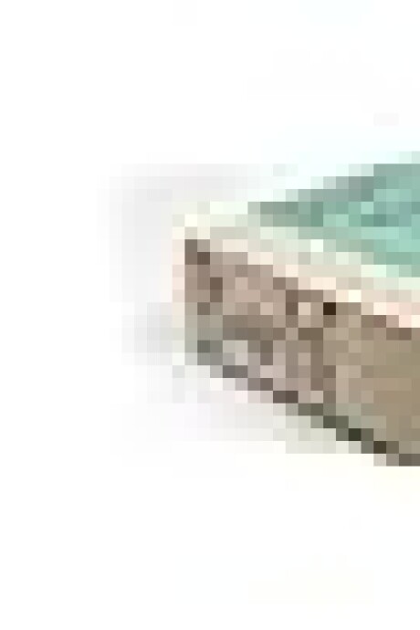 COCINA Y LOS ALIMENTOS, LA COCINA Y LOS ALIMENTOS, LA