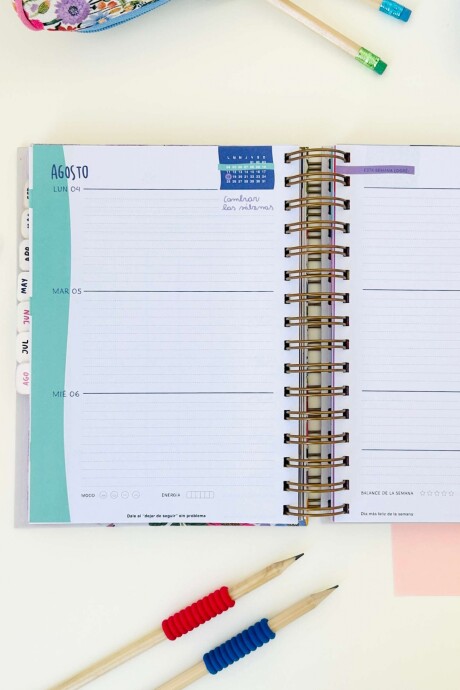 AGENDA SEM A LA VISTA 2025 ACUARELA