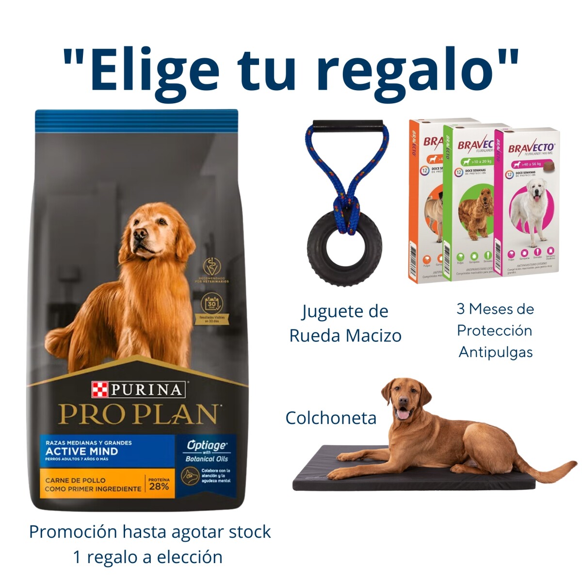 Pro Plan Active Mind (senior) M/l 15kg 