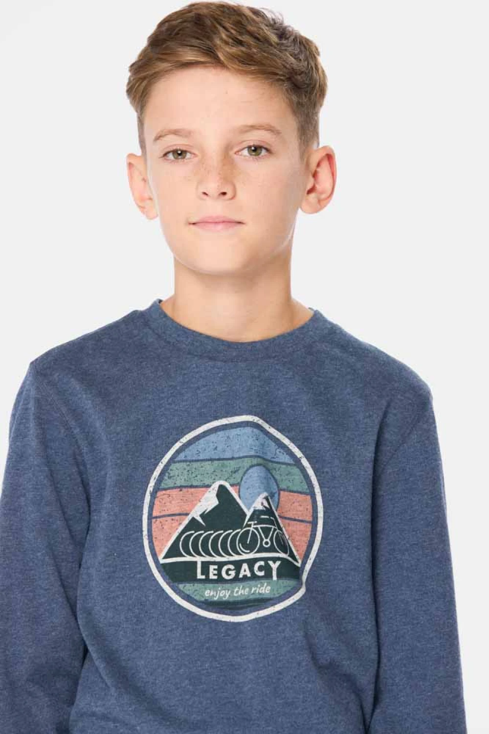REMERA ESTAMPADA Azul