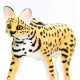 Safari - 100237 - Fauna Silvestre, Serval Safari - 100237 - Fauna Silvestre, Serval