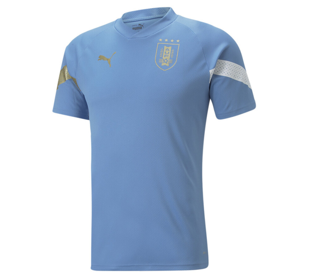 Remera AUF Training Celeste/Oro/Blanco