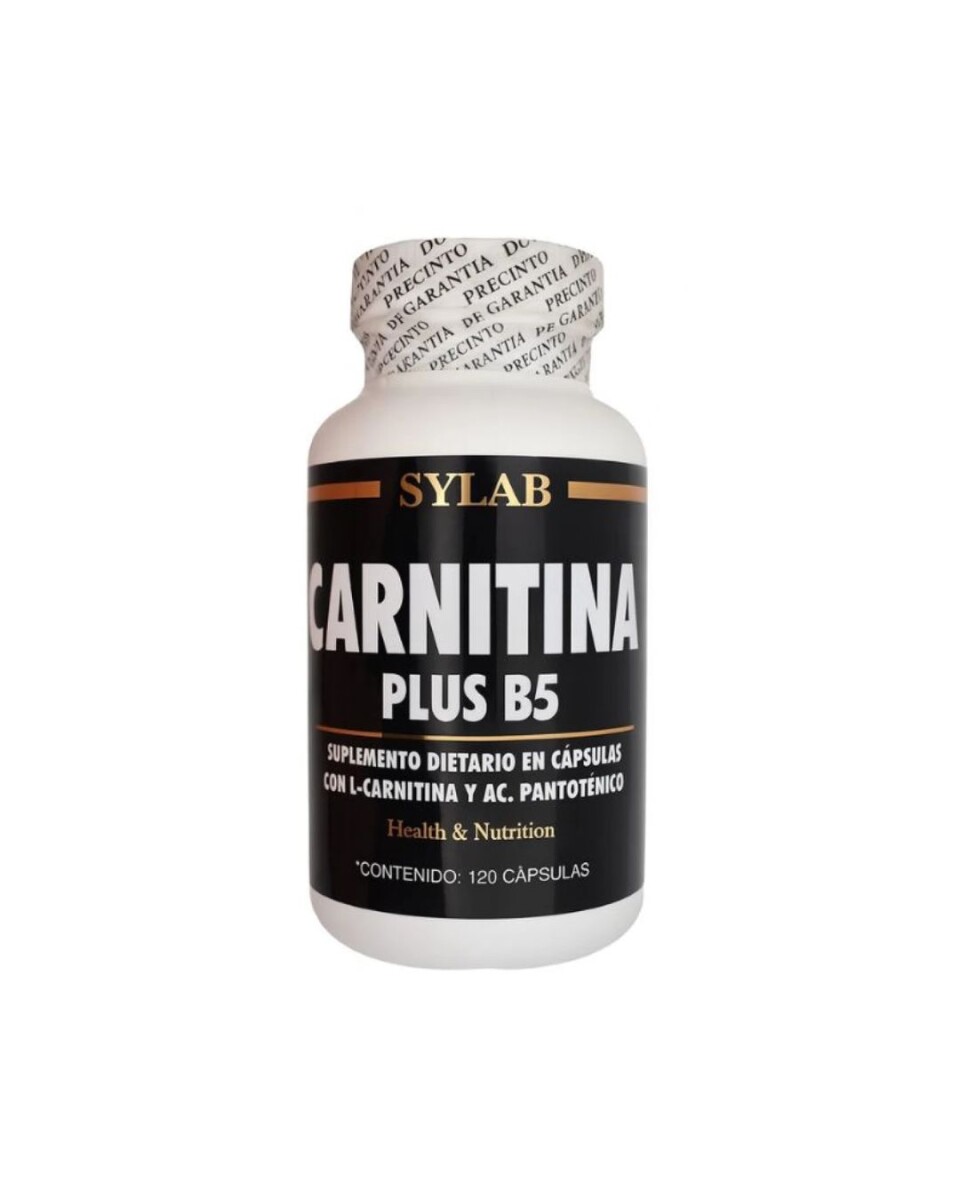 Carnitina Plus B5 120 Caps SYLAB 