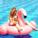 INTEX FLAMINGO FLOTANTE 142x137x97 CENTÍMETROS Intex Flamingo Flotante 142x137x97 Centímetros
