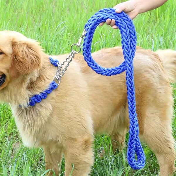 Correa Collar Reforzado Perros Semi Ahorque Cuerda Trenzada Variante Color Azul