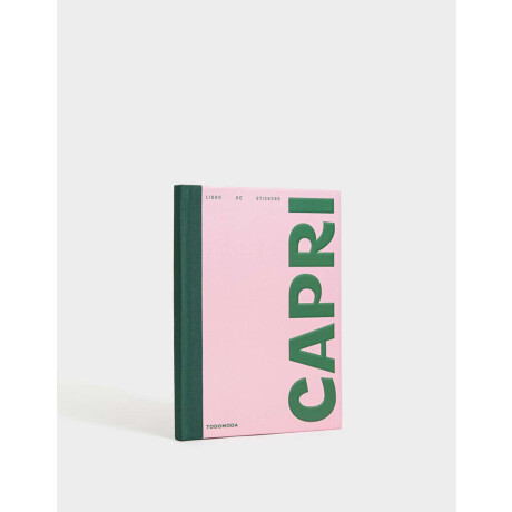 Libro De Stickers Journaling Rosa Claro