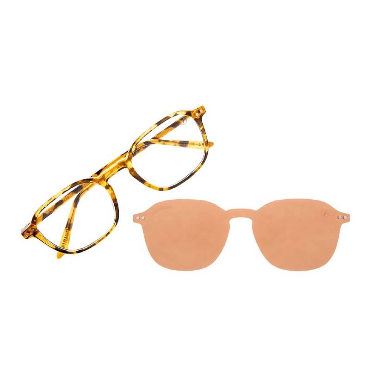 Armazón Chilli Beans Dublín más intercambiables de Sol - Marrón 