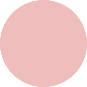 10307 Receta Rosa