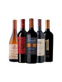 Pack Selección Imperdibles del Mes x5 vinos Pack Selección Imperdibles del Mes x5 vinos