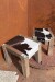Petit Stool Cowhide oscuro Rustico