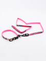 SET COLLAR CON CORREA MULTICOLOR