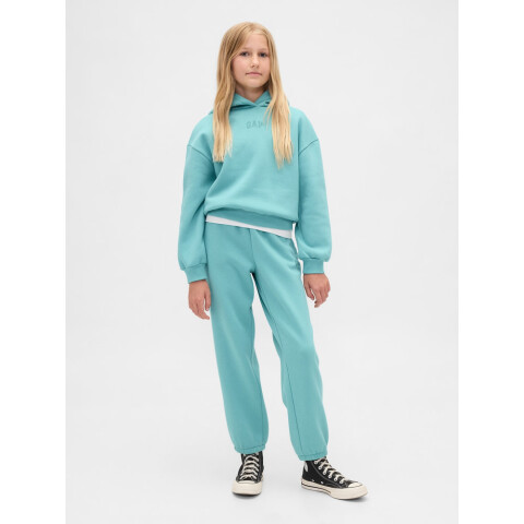 VTG SOFT LOGO JOGGER_FA25 FROSTBITTEN BLUE