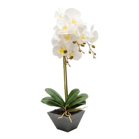ORQUIDEA BCO C/MACETERO 11.5X11.5X42CM Unica