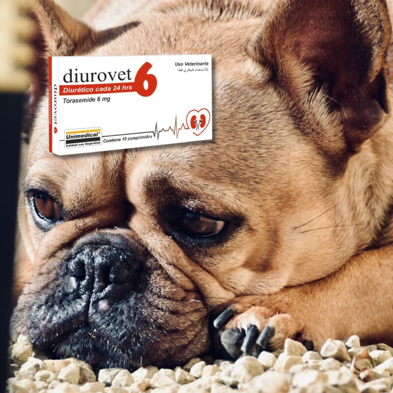 DIUROVET 6 X CAJA DE 10 COMPRIMIDOS DIUROVET 6 X CAJA DE 10 COMPRIMIDOS
