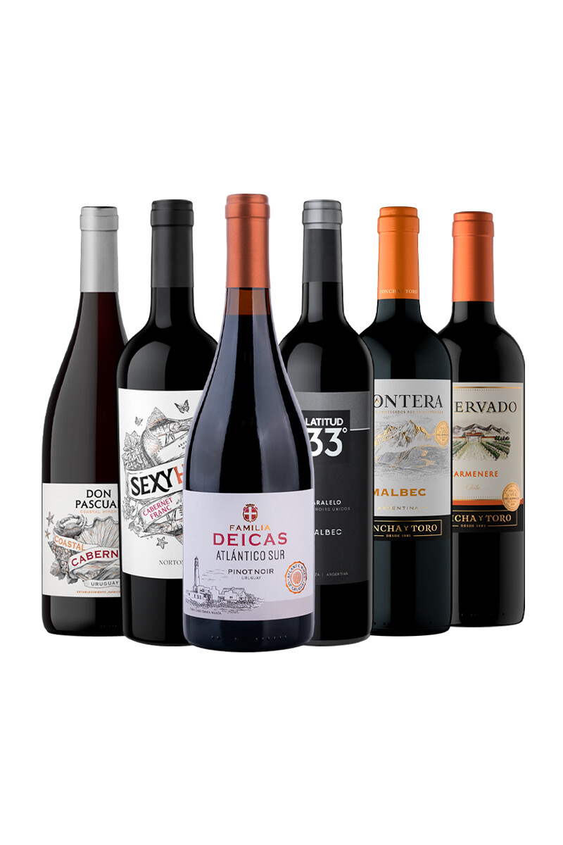 Pack Bacán Selección Capitulo Uno x6 vinos 
