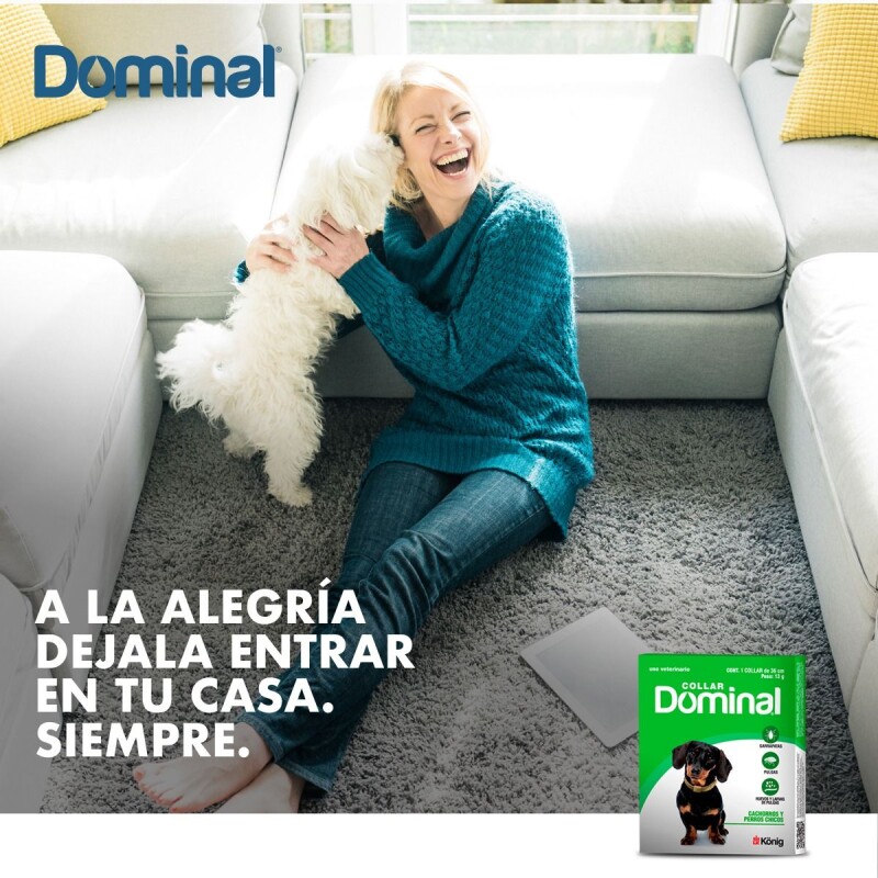 DOMINAL COLLAR ANTIPULGAS Y GARRAPATAS PERROS CHICOS CACHORROS O PEQUEÑOS 36 CM DE LARGO