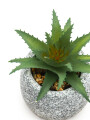 Planta Suculenta Artificial, Mini Color Unico