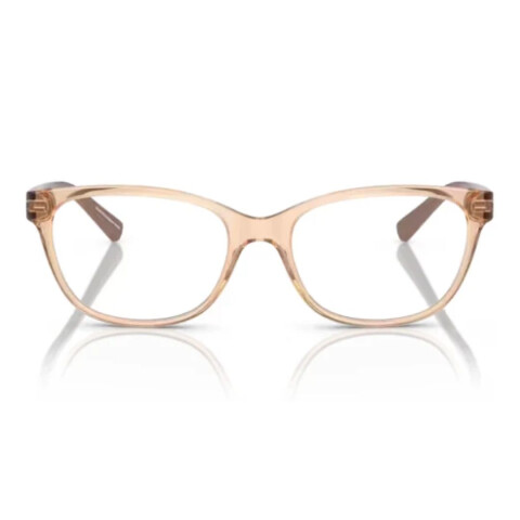 Armani Exchange 3037 col 8342 Armani Exchange 3037 Col 8342