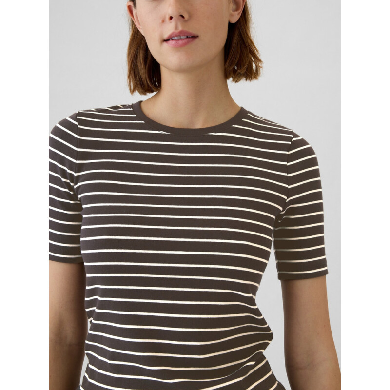 SS MOD CREW BROWN STRIPE